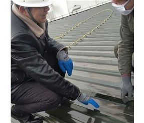 T9303無(wú)溶劑環(huán)氧防腐底漆